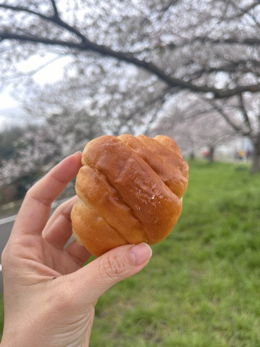 trufflemini 白トリュフの塩パン